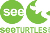 SEE Turtles coupons
